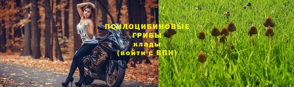 бутират Воткинск