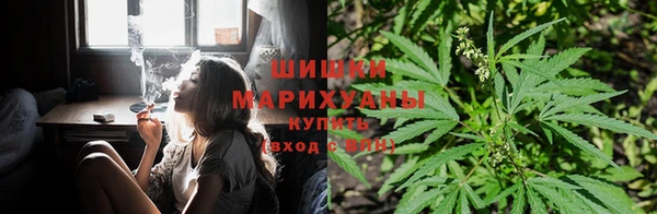 дживик Арсеньев